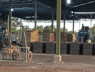 Paving Block & Kanstin 3